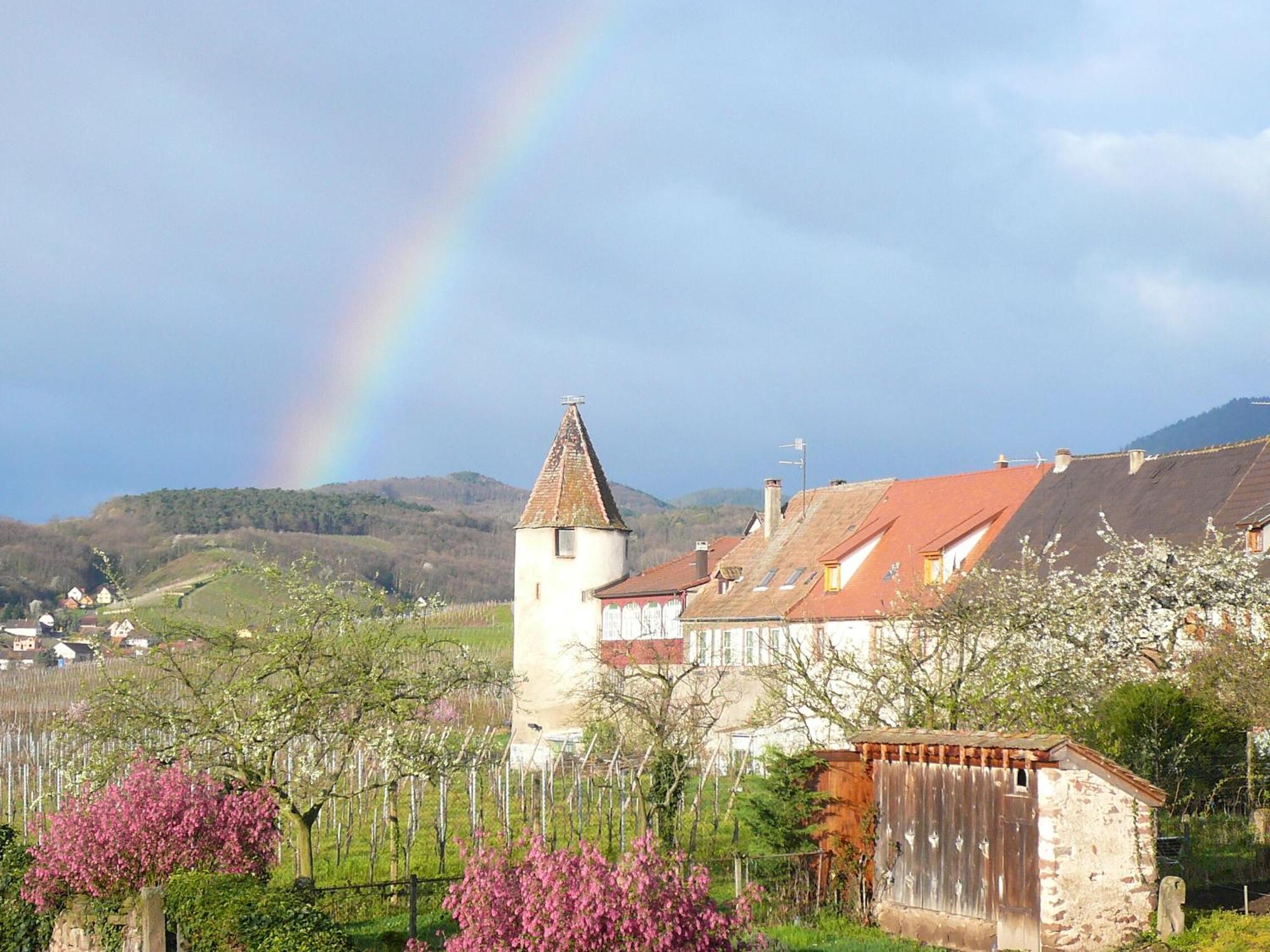 Hotel Munsch Restaurant & Wellness, Colmar Nord - Haut-koenigsbourg Saint-Hippolyte (Haut-Rhin)