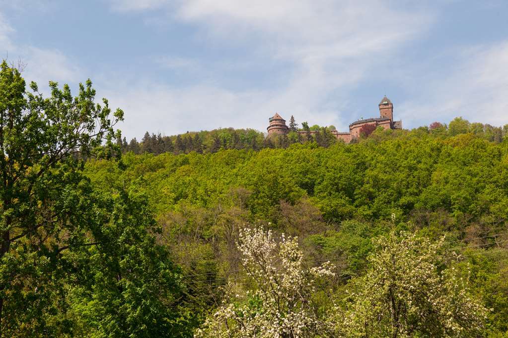 Hotel Munsch Restaurant & Wellness, Colmar Nord - Haut-koenigsbourg Saint-Hippolyte (Haut-Rhin)