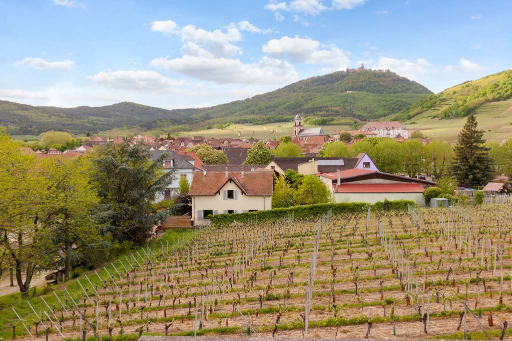 Munsch Restaurant & Wellness, Colmar Nord - Haut-koenigsbourg 3* Saint-Hippolyte (Haut-Rhin)